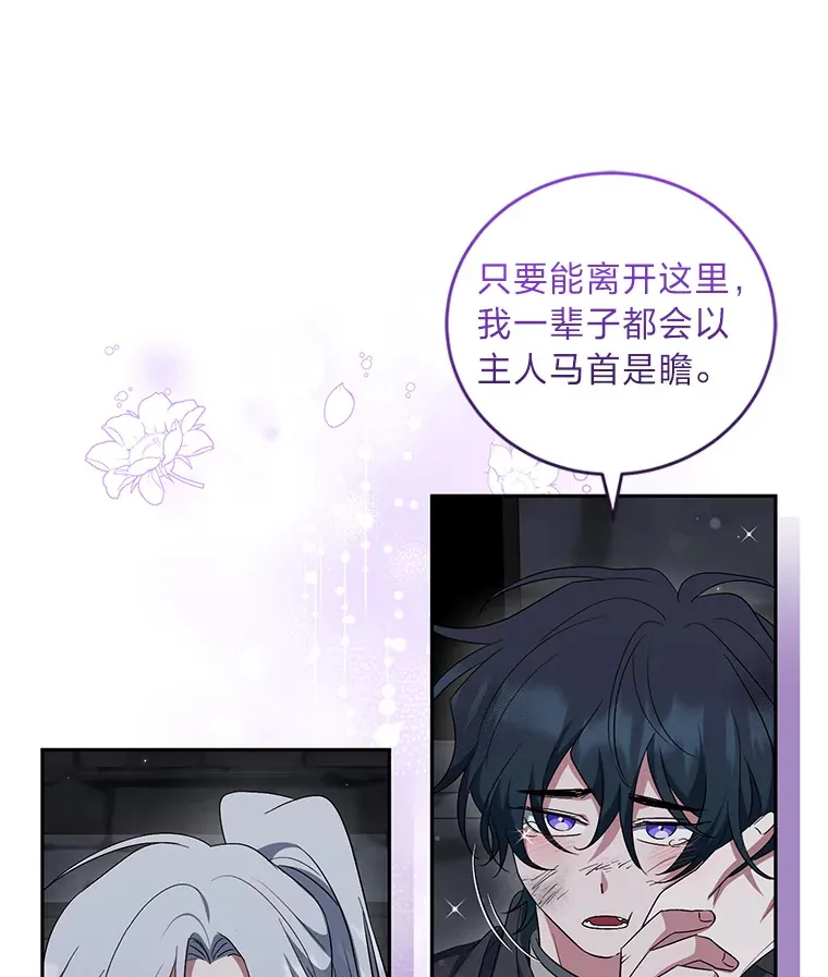 28.桀骜不驯的狼 第80页