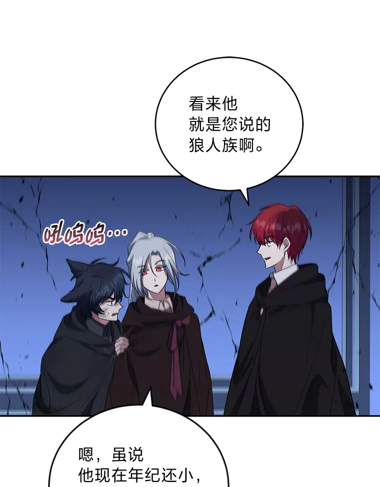 29.狼被驯服了 第74页