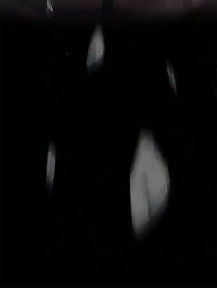 25.龙人族呼吸法 第121页