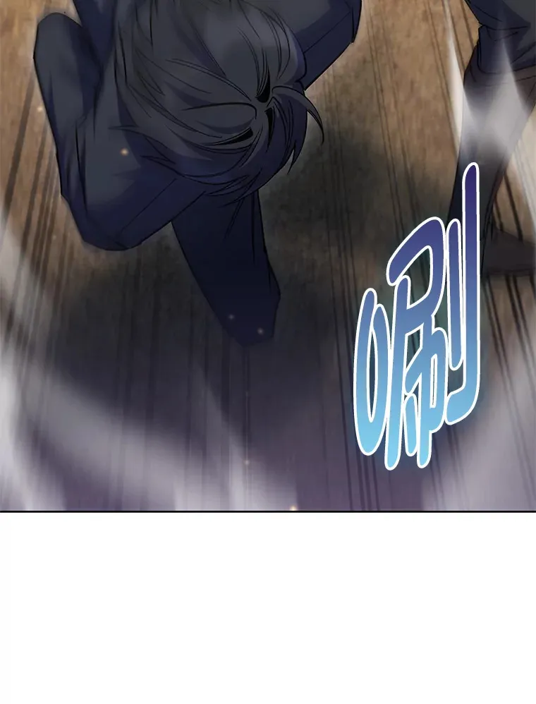 47.骑士对练 第117页