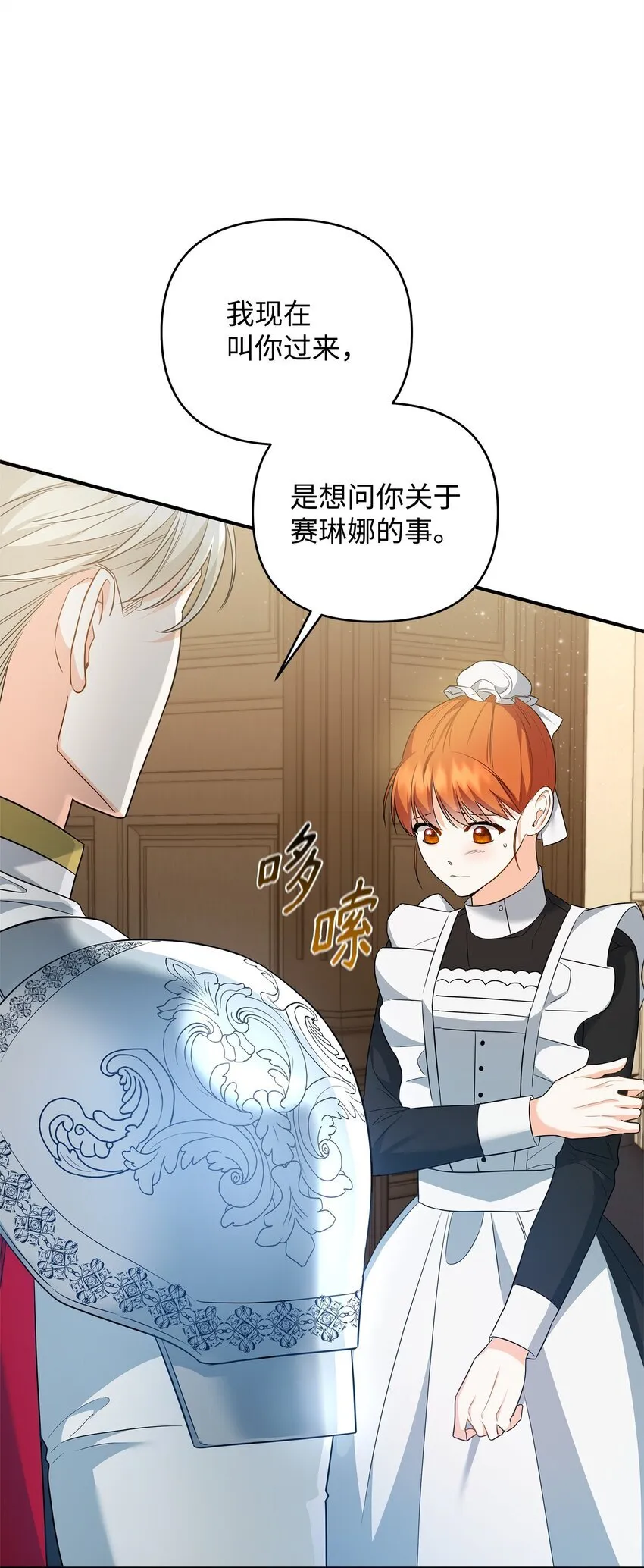 13 护卫骑士 第17页