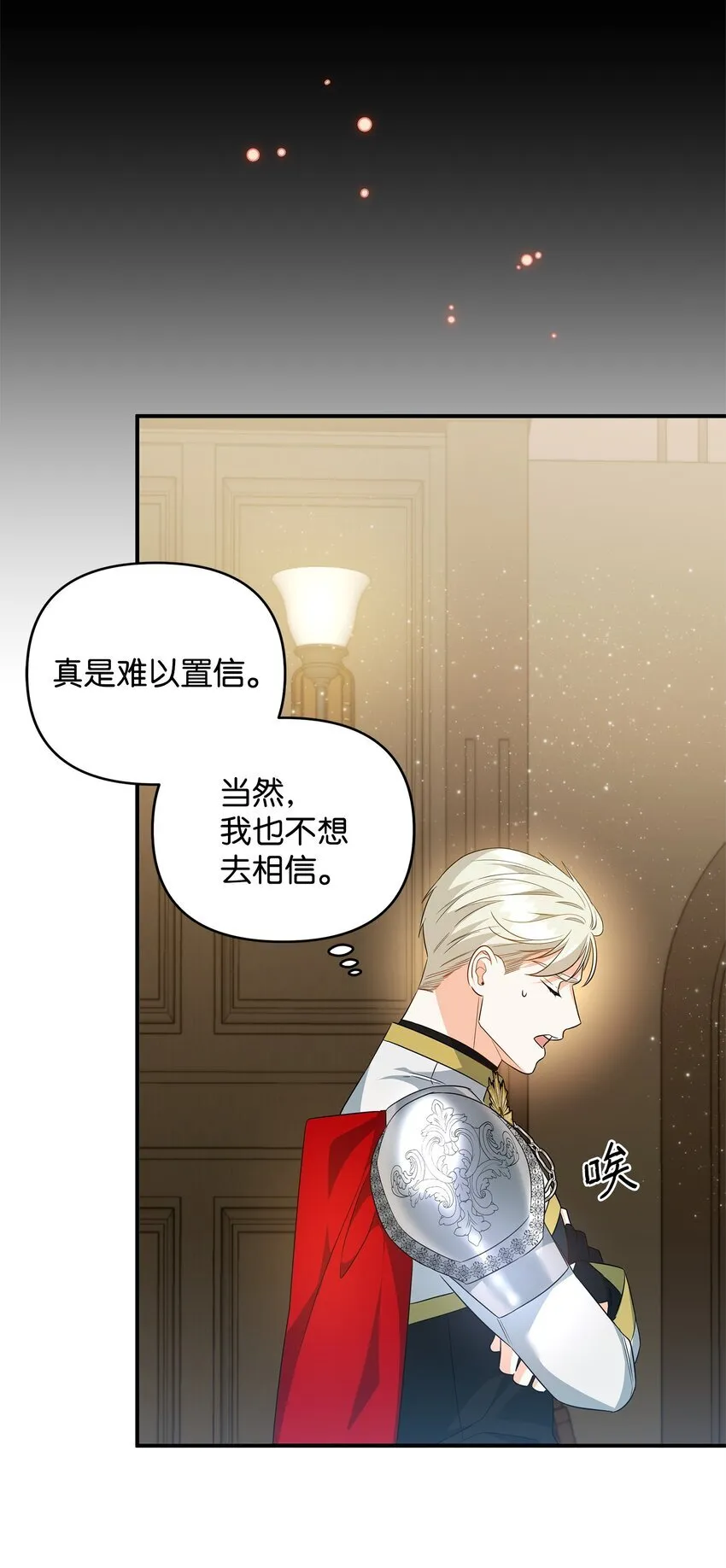 13 护卫骑士 第29页