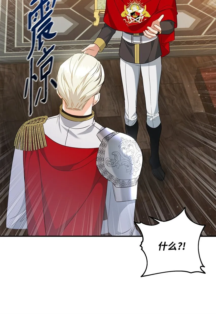 13 护卫骑士 第53页