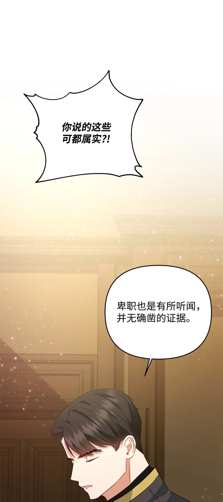 13 护卫骑士 第54页