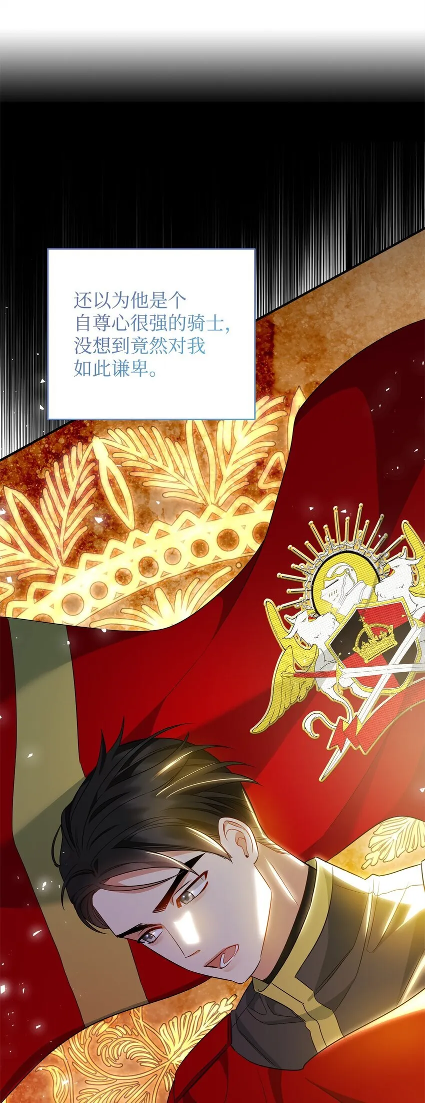 13 护卫骑士 第87页