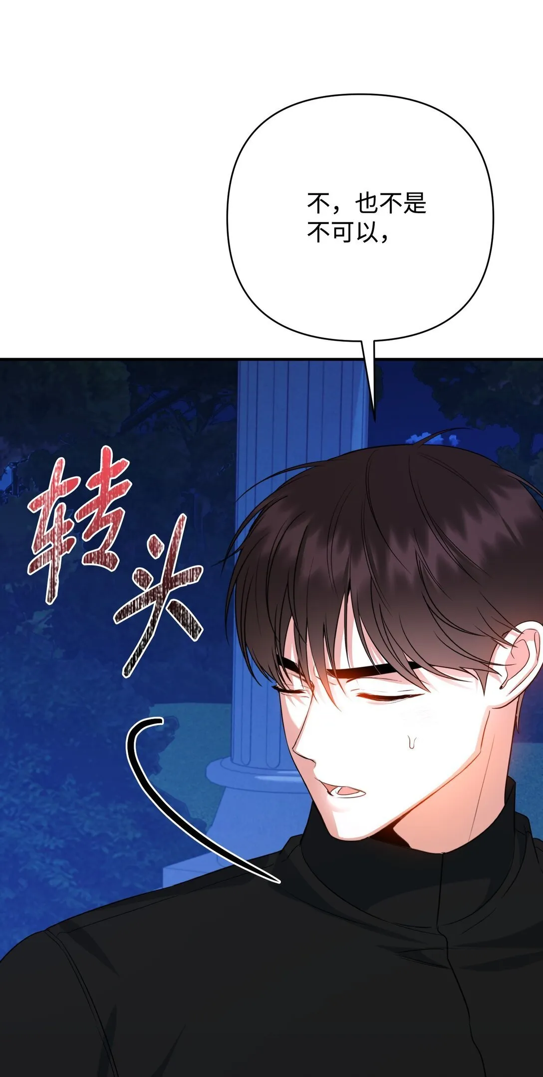 50 夜会阳台 第20页