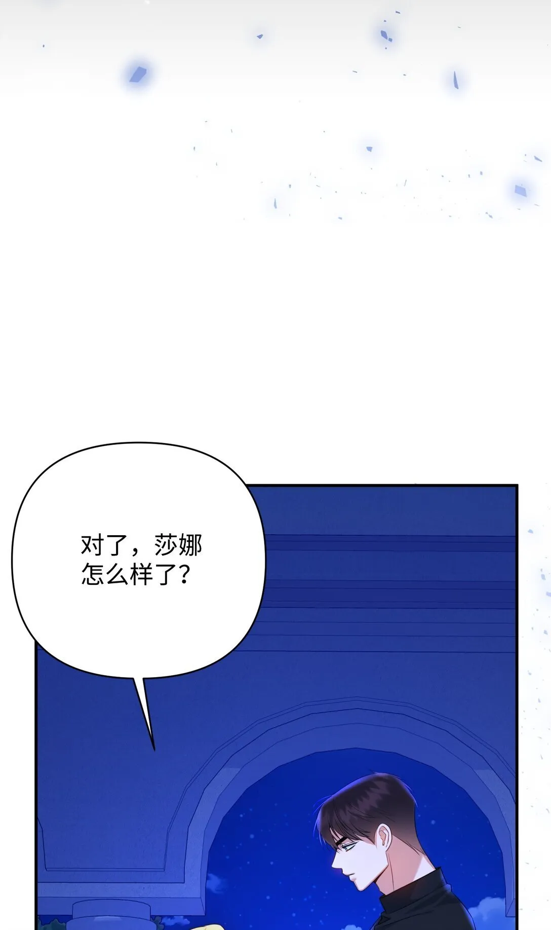 50 夜会阳台 第35页