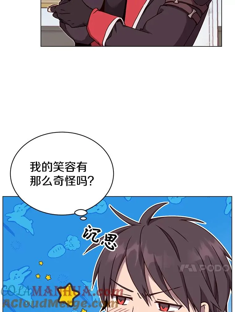 45.国政会议 第13页