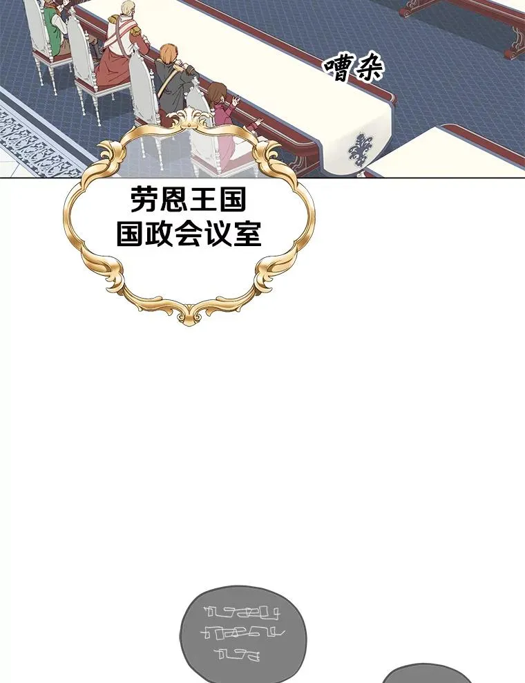 45.国政会议 第28页