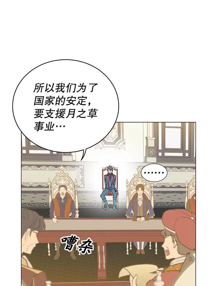 45.国政会议 第48页