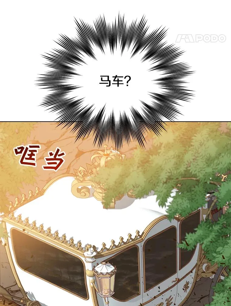 71.马车 第39页