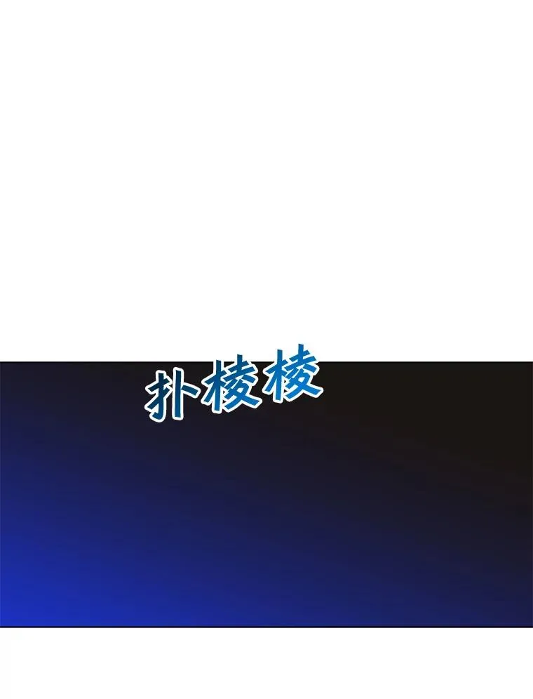 71.马车 第78页