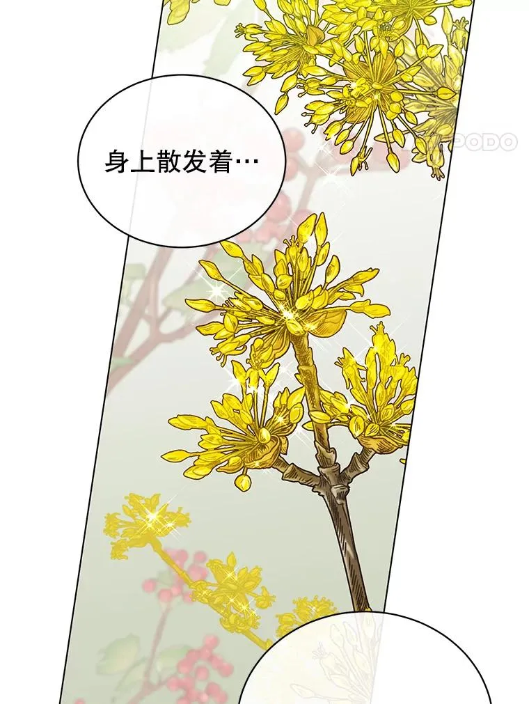 71.马车 第108页