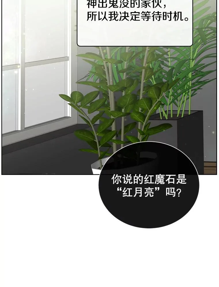 99.红魔石 第52页