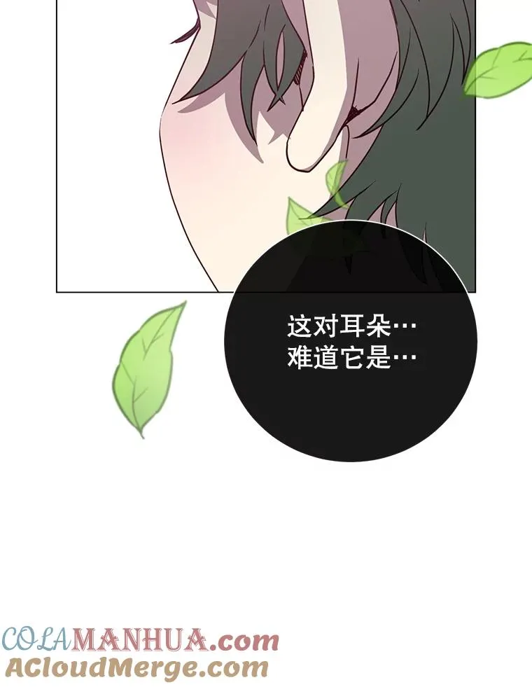 135.混血妖精 第109页