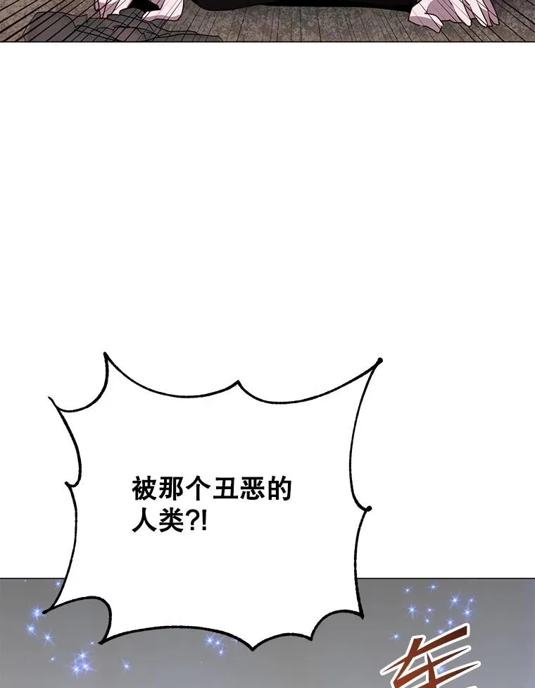 138.诺阿斯出现 第51页