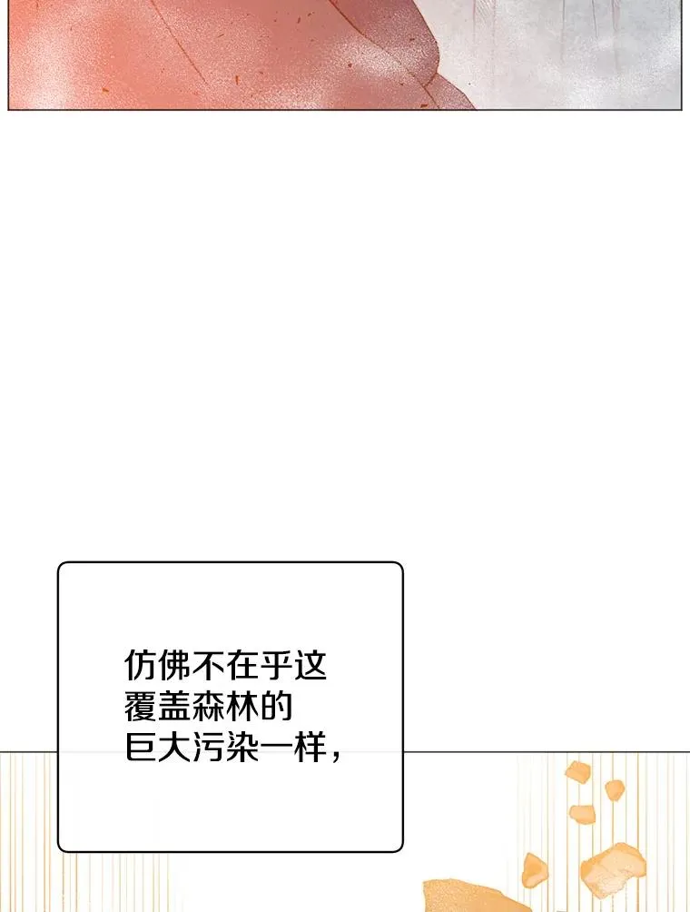 138.诺阿斯出现 第83页