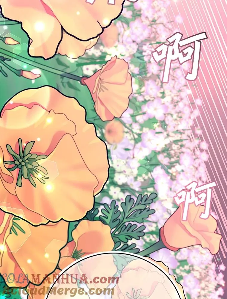 138.诺阿斯出现 第89页