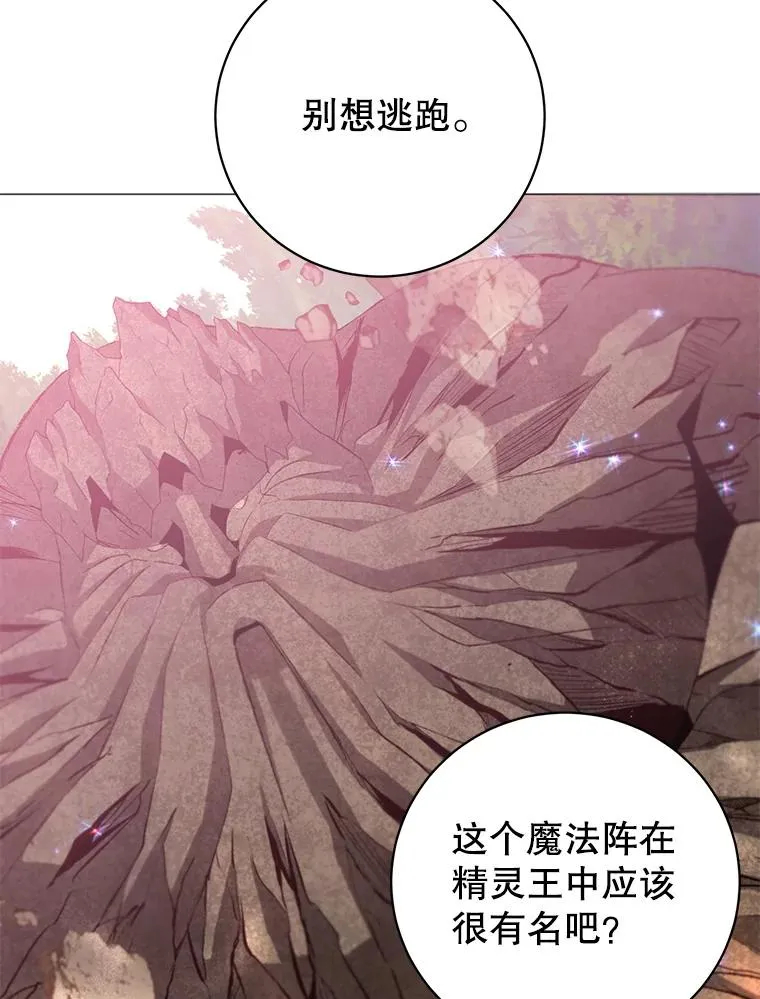 138.诺阿斯出现 第98页