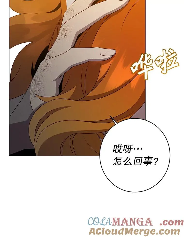 153.与大公较量 第13页