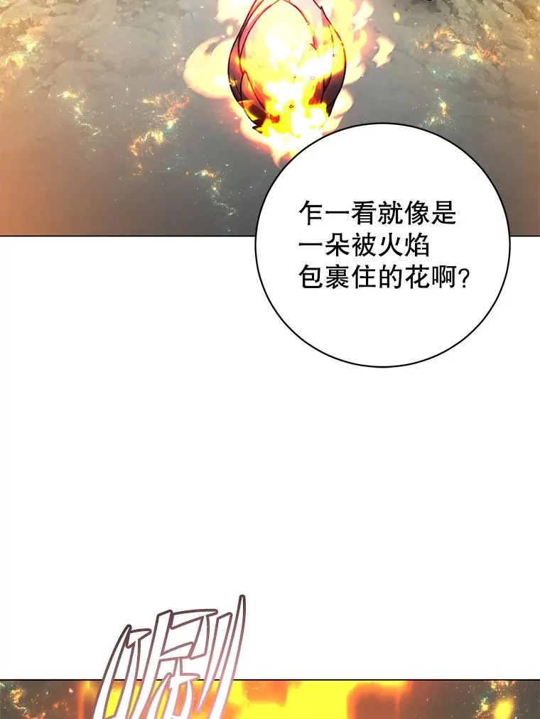 171.驯服朱雀 第27页