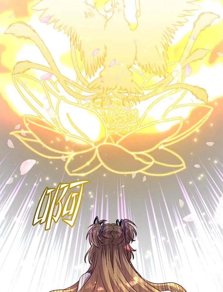 171.驯服朱雀 第31页
