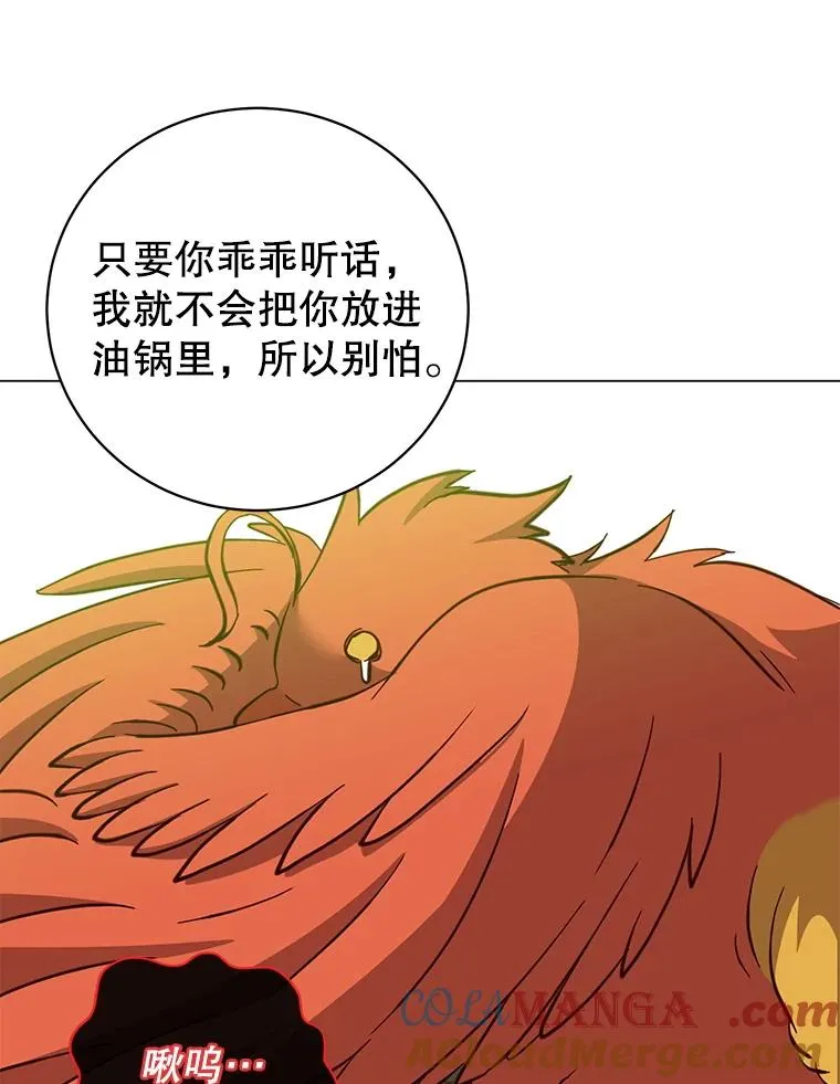 171.驯服朱雀 第97页