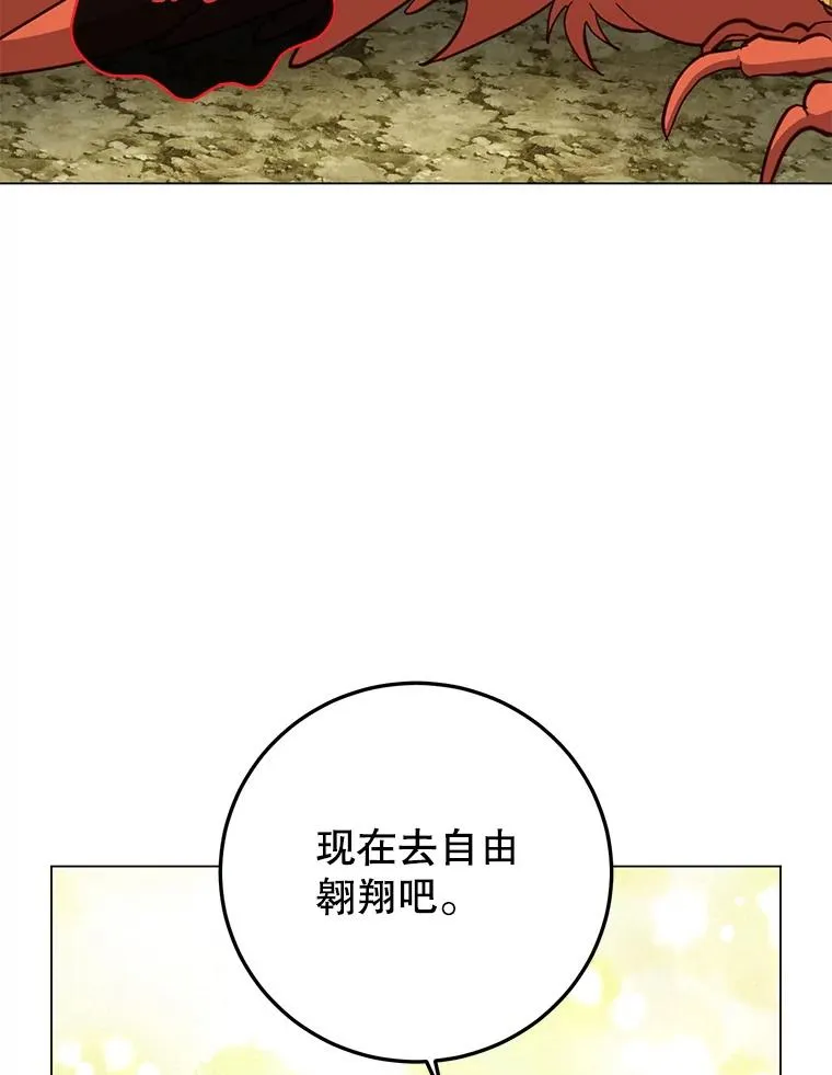 171.驯服朱雀 第98页