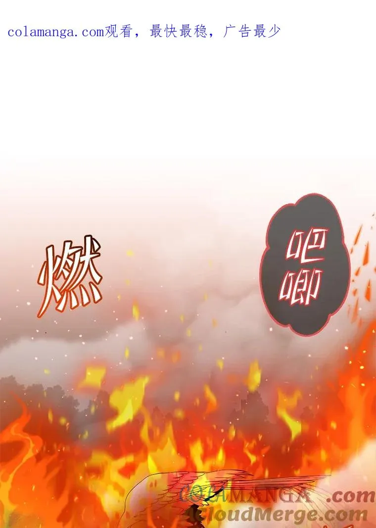 172.火鸡闯祸 第1页