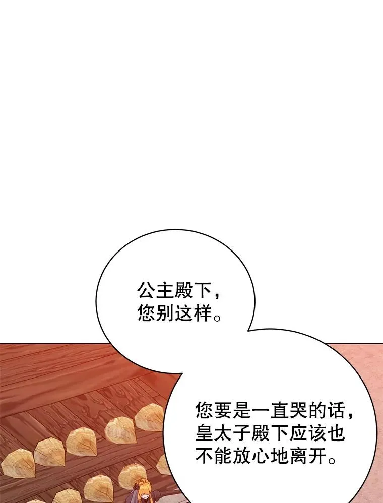 173.举行国葬 第74页