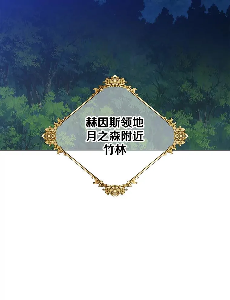 181.精灵之箭 第19页