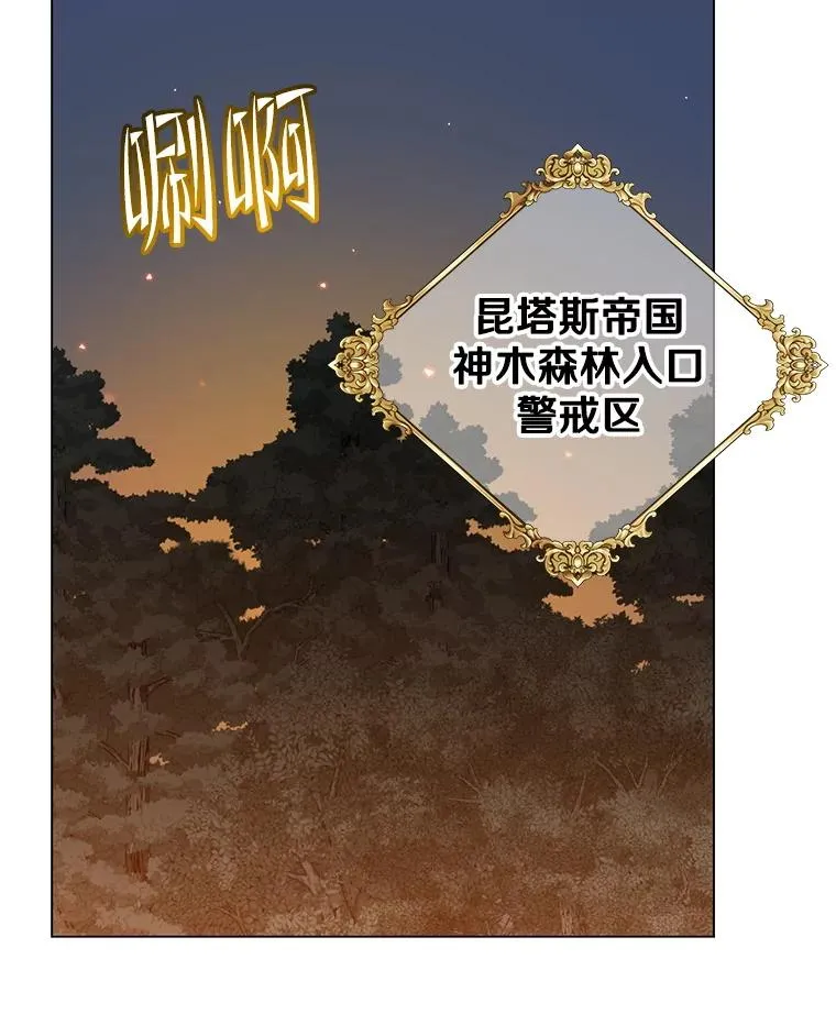 182.神木圣地 第24页
