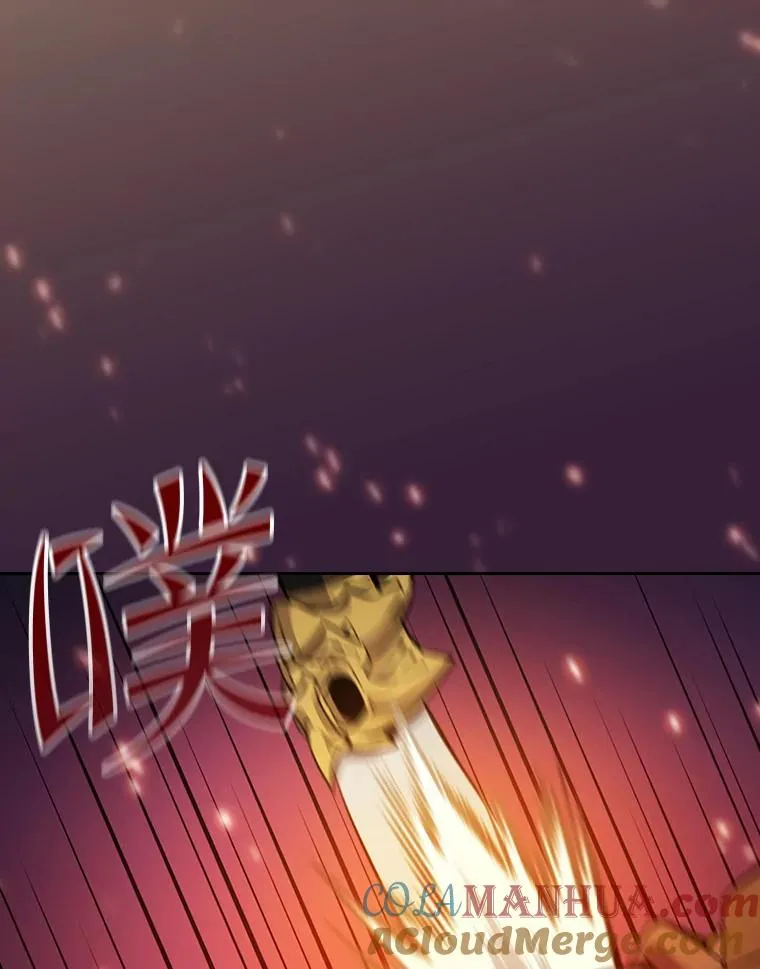 113.偷袭失败 第45页