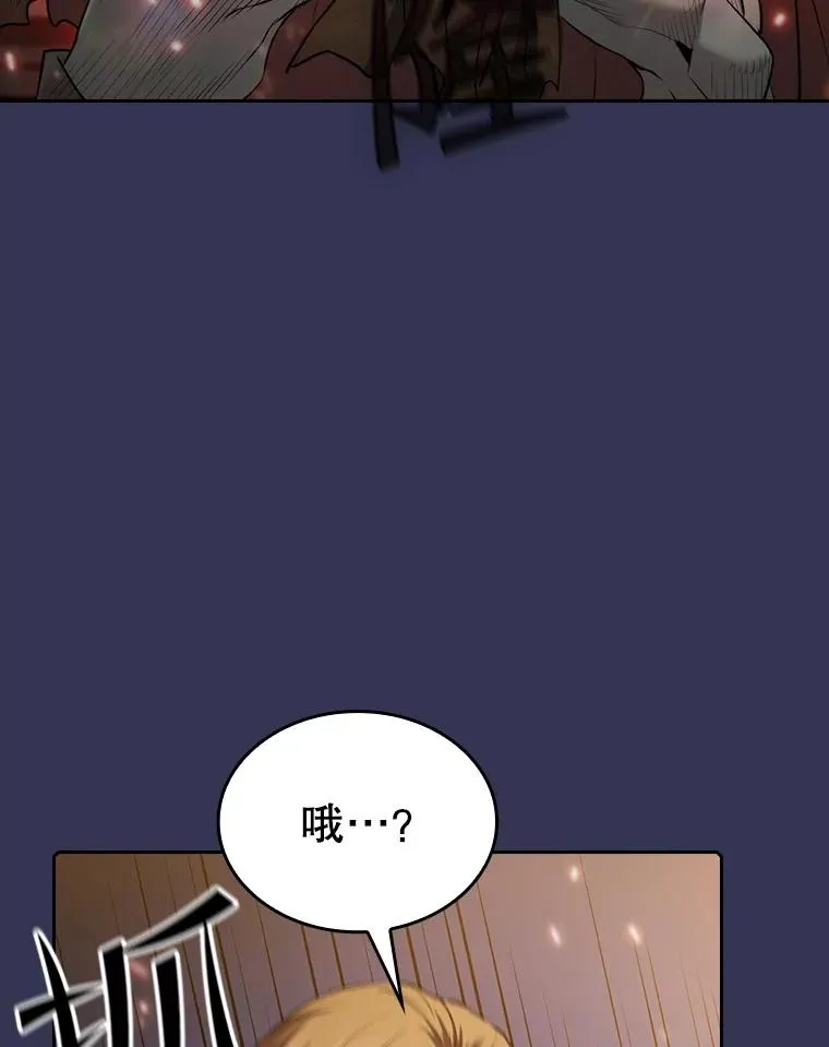 113.偷袭失败 第66页