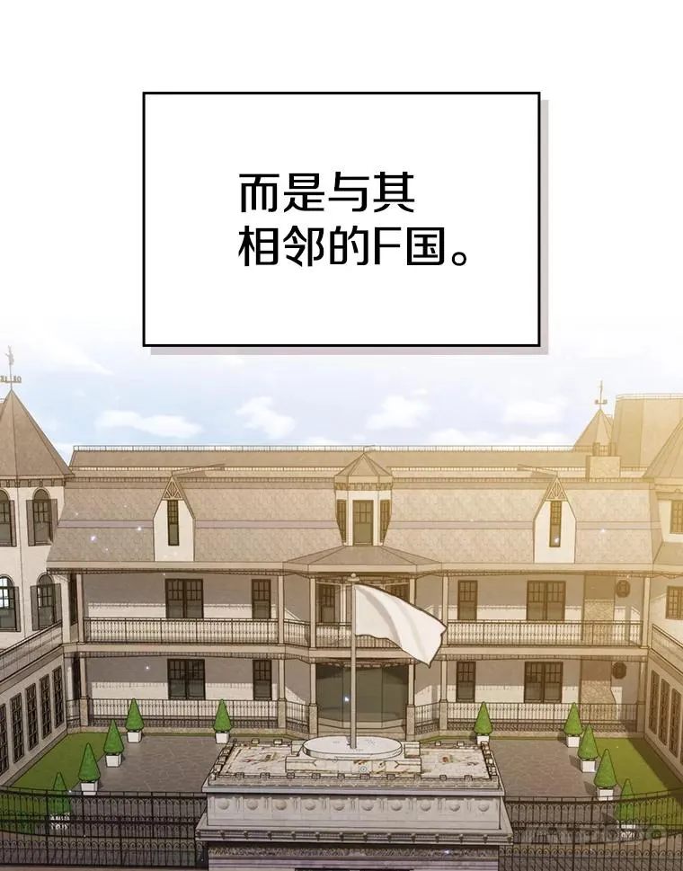 117.F国危机 第28页