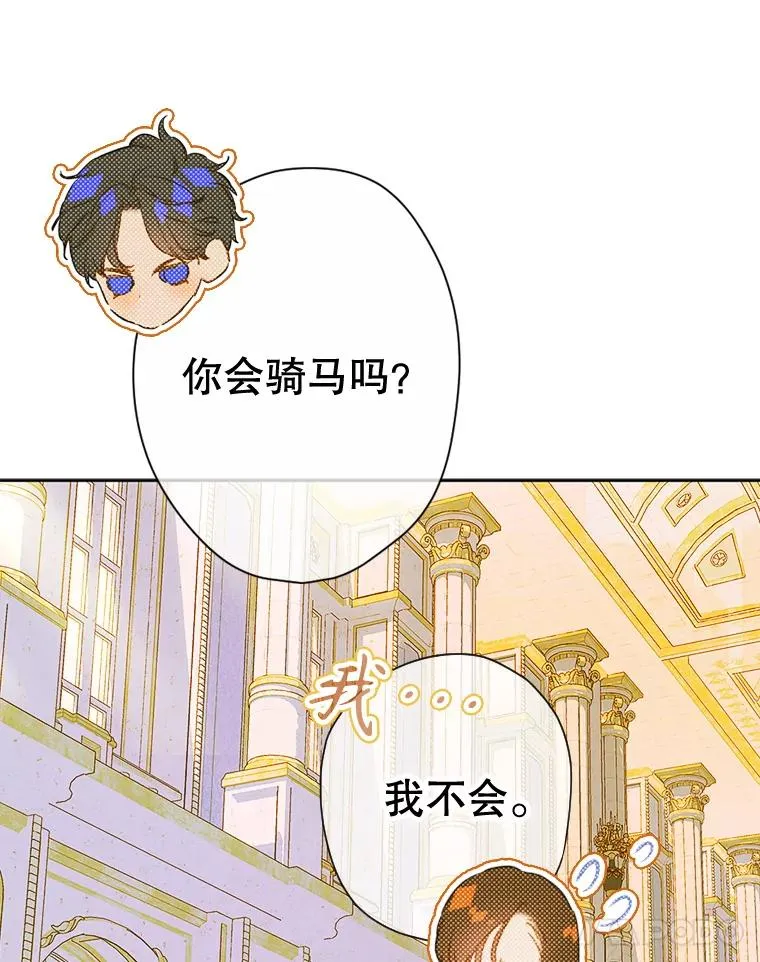37.挑选护卫 第70页