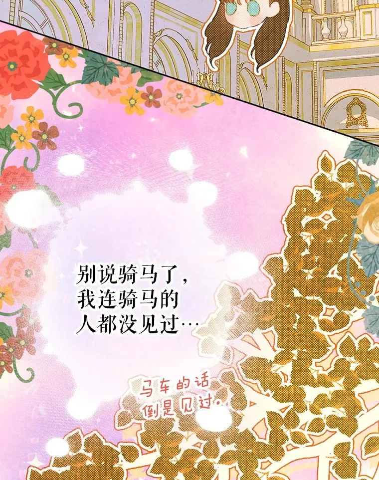 37.挑选护卫 第71页