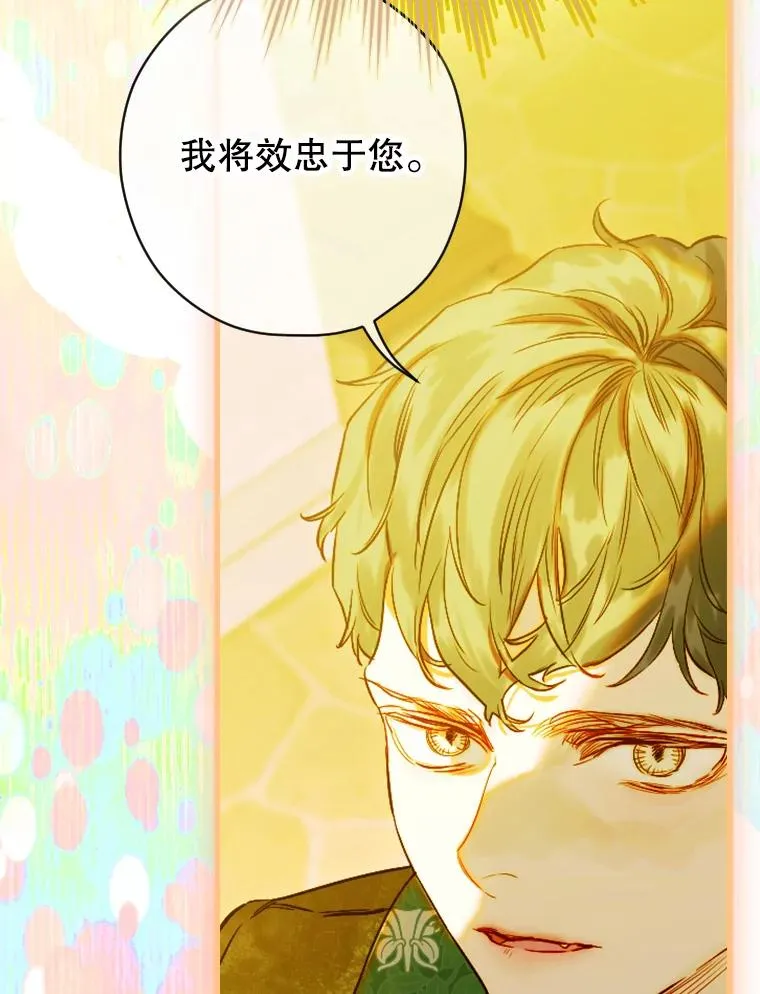 38.做我的护卫吧 第100页