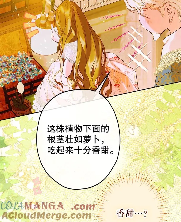 60.甜萝卜 第17页