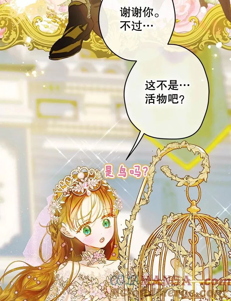 69.生日礼物 第40页