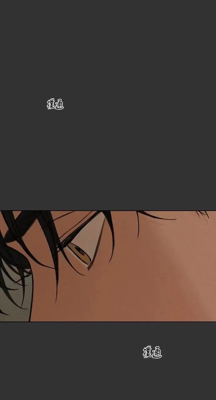 第54话 第71页
