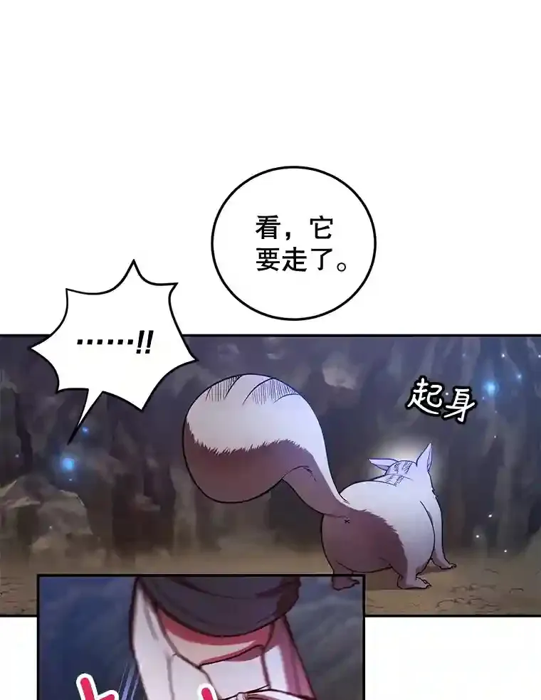 12.无伤攻略地下城 第5页