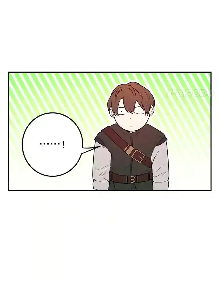 15.获得史诗级宠物 第25页