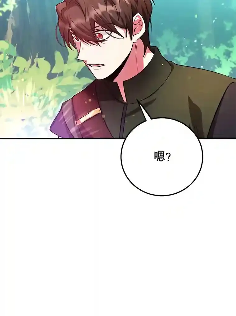 15.获得史诗级宠物 第29页