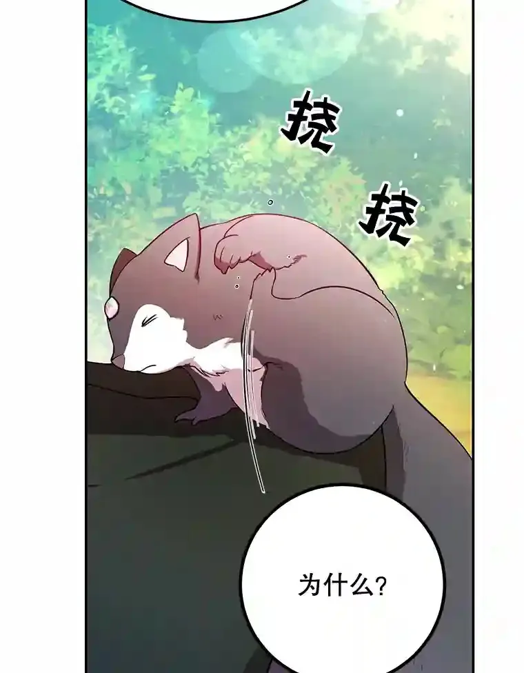 15.获得史诗级宠物 第104页