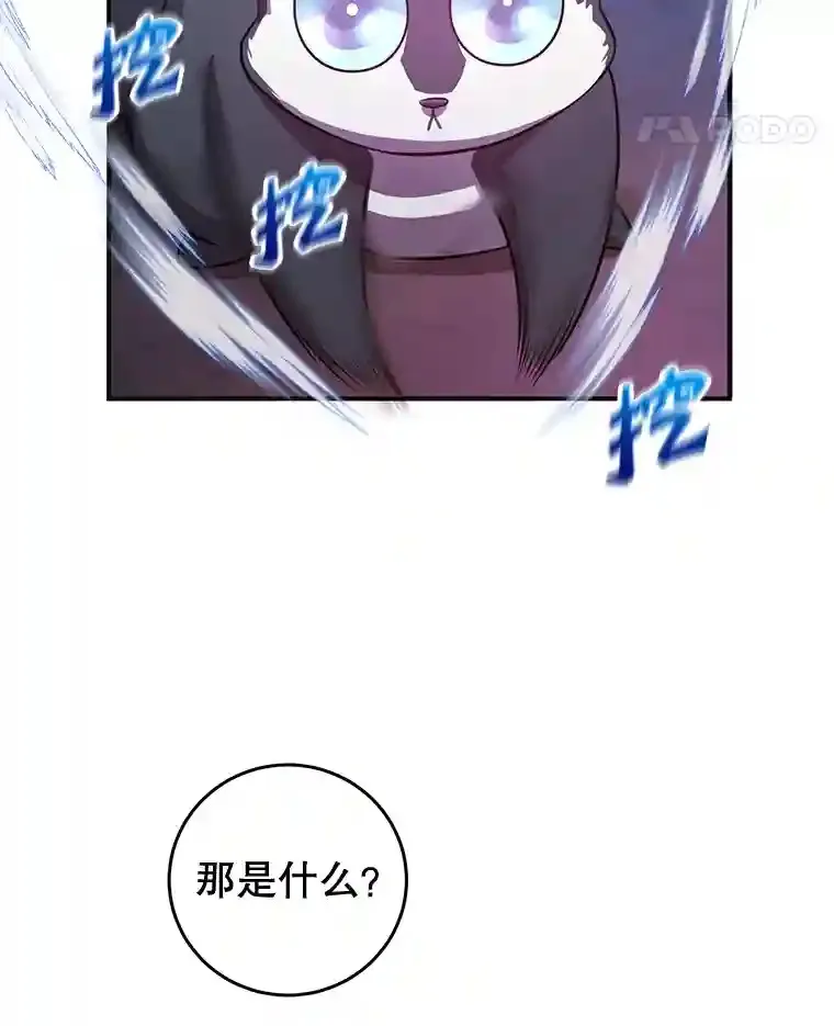 17.回到卢阿纳 第28页