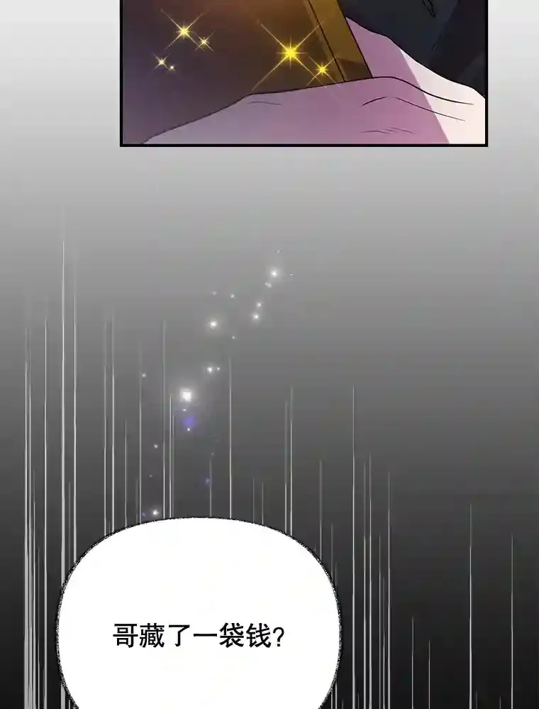 20.戈亚斯遭遇暗杀 第5页