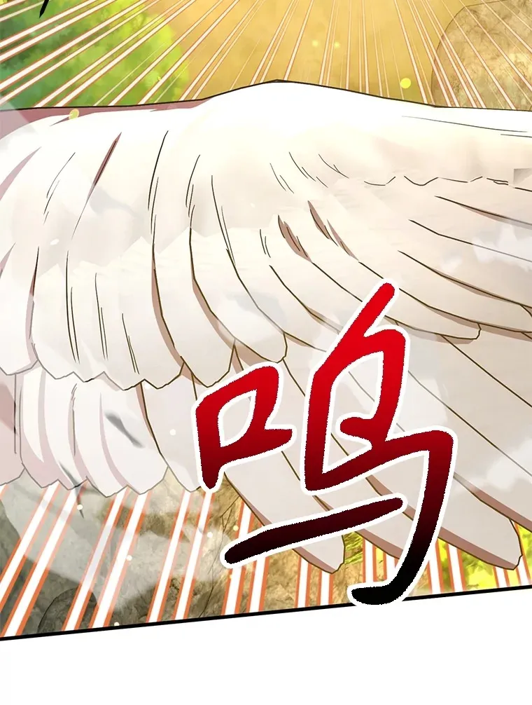 56.哈琵女王 第13页