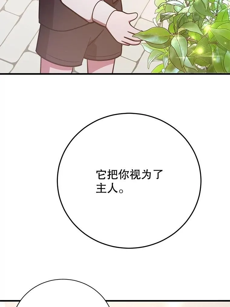 57.收获颇丰 第81页