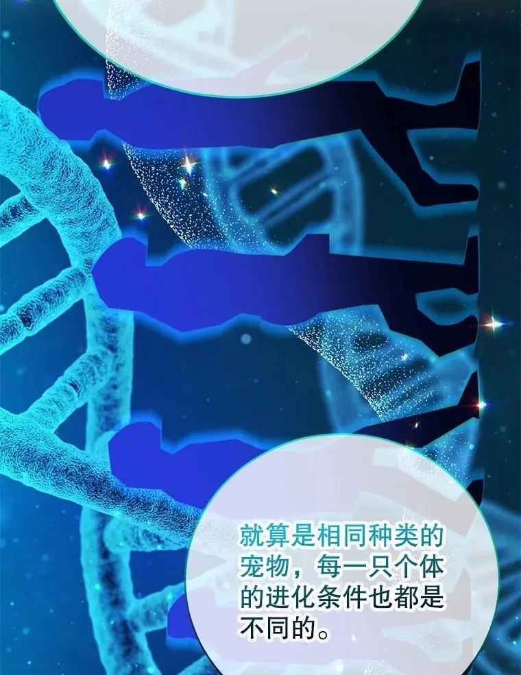 64.家属排序 第42页